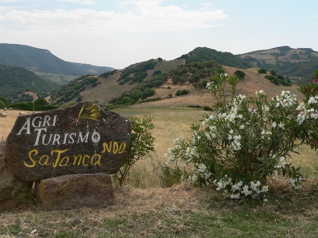 Agriturismo Sa Tanca Noa Tergu Екстер'єр фото