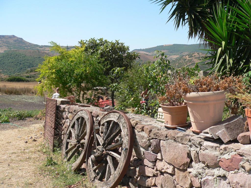 Agriturismo Sa Tanca Noa Tergu Екстер'єр фото