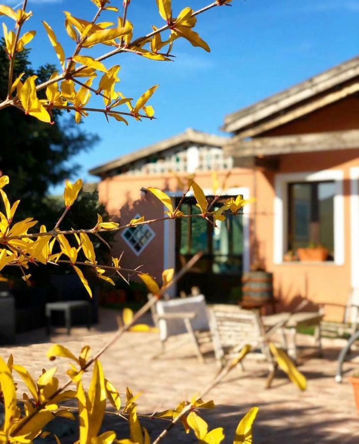 Agriturismo Sa Tanca Noa Tergu Екстер'єр фото